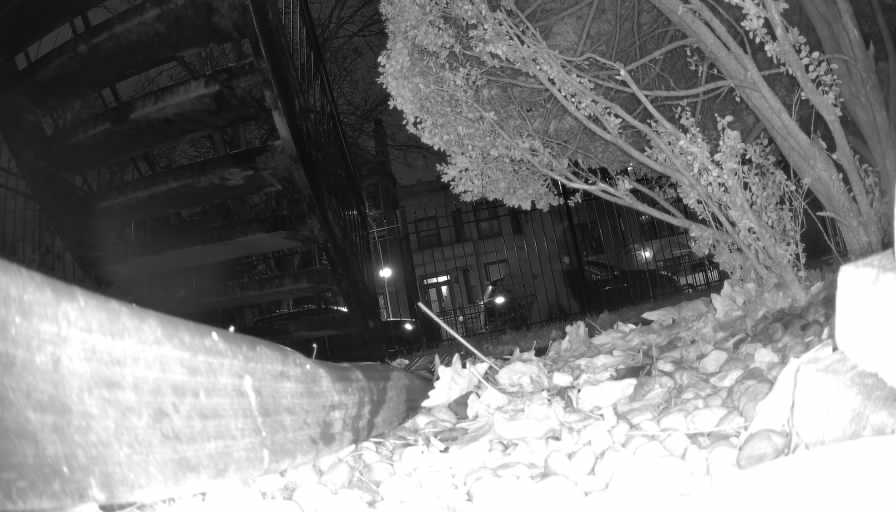 Reolink Camera Two_01_Reolink Home Hub One_20250117224319.jpg